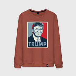 Свитшот хлопковый мужской Trump, цвет: кирпичный