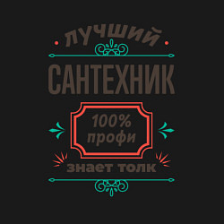 Свитшот хлопковый мужской Лучший сантехник - 100% профи, цвет: черный — фото 2