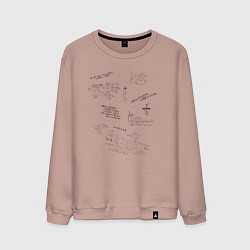 Мужской свитшот Математик