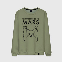 Свитшот хлопковый мужской Thirty Seconds to Mars - rock cat, цвет: авокадо