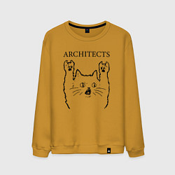 Свитшот хлопковый мужской Architects - rock cat, цвет: горчичный