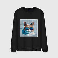Свитшот хлопковый мужской Цифровой кот в темных очках, цвет: черный