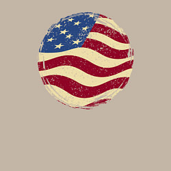 Свитшот хлопковый мужской Flag USA, цвет: миндальный — фото 2