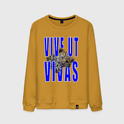 Мужской свитшот Vive ut vivas