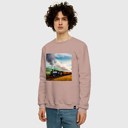 Свитшот хлопковый мужской Ретро поезд, цвет: пыльно-розовый — фото 2