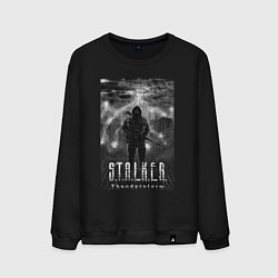 Мужской свитшот Stalker thunderstorm