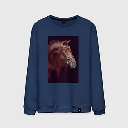 Мужской свитшот Лошадь во всей красе