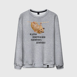 Мужской свитшот Хомяк на канате