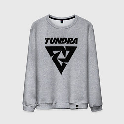 Свитшот хлопковый мужской Tundra esports logo, цвет: меланж