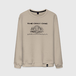 Мужской свитшот The only one - автомобиль Ф1