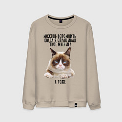 Мужской свитшот Кот-ворчун мем