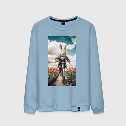 Свитшот хлопковый мужской Кролик едет на велосипеде, цвет: мягкое небо