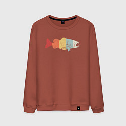 Свитшот хлопковый мужской Color fish, цвет: кирпичный