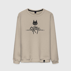 Свитшот хлопковый мужской Stray street cat, цвет: миндальный