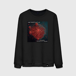 Мужской свитшот Point - Astrophytum