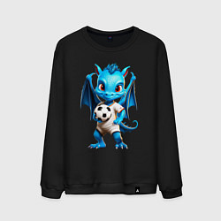 Свитшот хлопковый мужской Дракончик спортсмен, цвет: черный