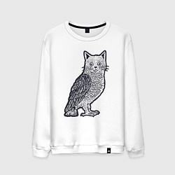 Мужской свитшот Кошка сова