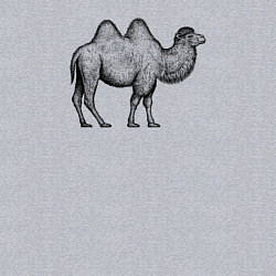 Свитшот хлопковый мужской Верблюд профиль, цвет: меланж — фото 2
