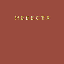 Свитшот хлопковый мужской Невеста золото и блестки, цвет: кирпичный — фото 2