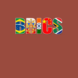 Свитшот хлопковый мужской Надпись: BRICS, цвет: кирпичный — фото 2