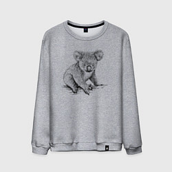 Мужской свитшот Коала сидит