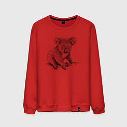 Свитшот хлопковый мужской Коала сидит, цвет: красный