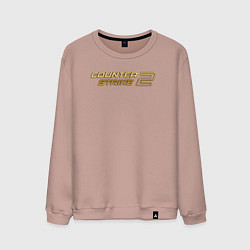 Мужской свитшот Counter strike 2 gold logo