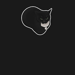 Свитшот хлопковый мужской Maxwell cat на черном фоне, цвет: черный — фото 2