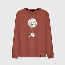 Мужской свитшот Лунный шарик