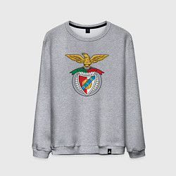 Свитшот хлопковый мужской Benfica club, цвет: меланж