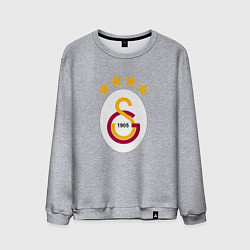 Свитшот хлопковый мужской Galatasaray fc sport, цвет: меланж