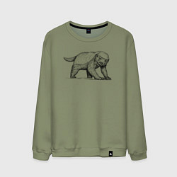 Свитшот хлопковый мужской Медоед недоволен, цвет: авокадо