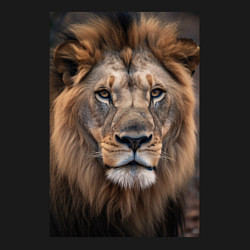 Свитшот хлопковый мужской Лев-король прайда, цвет: черный — фото 2