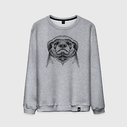 Мужской свитшот Гордый медоед