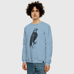 Свитшот хлопковый мужской Орёл на бревне, цвет: мягкое небо — фото 2
