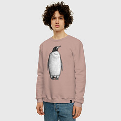 Свитшот хлопковый мужской Пингвин стоит анфас, цвет: пыльно-розовый — фото 2
