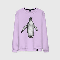 Свитшот хлопковый мужской Пингвин штрихами, цвет: лаванда
