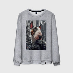 Свитшот хлопковый мужской Dude bull terrier in New York - ai art, цвет: меланж