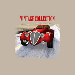 Свитшот хлопковый мужской Винтажный автомобиль, цвет: миндальный — фото 2