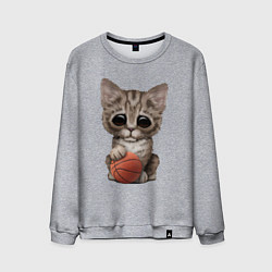 Свитшот хлопковый мужской Котик баскетболист, цвет: меланж