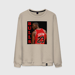 Свитшот хлопковый мужской Bulls Jordan, цвет: миндальный