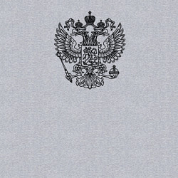 Свитшот хлопковый мужской Герб России двухглавый орел, цвет: меланж — фото 2