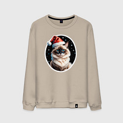 Мужской свитшот Кот породы Рэгдолл в новогодней шапке