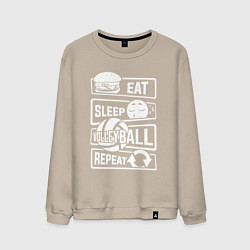 Мужской свитшот Волейбольный день