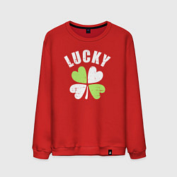 Свитшот хлопковый мужской Lucky day, цвет: красный