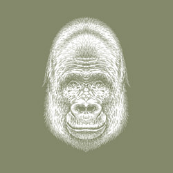 Свитшот хлопковый мужской Морда веселой гориллы, цвет: авокадо — фото 2