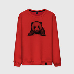 Свитшот хлопковый мужской Панда детеныш, цвет: красный