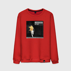 Свитшот хлопковый мужской Sport frei - Lindemann, цвет: красный