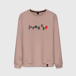 Свитшот хлопковый мужской Direktor, цвет: пыльно-розовый