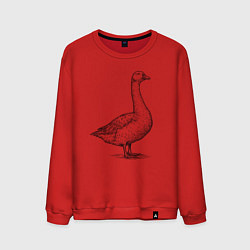 Свитшот хлопковый мужской Гусь в профиль, цвет: красный